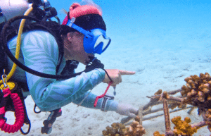 maldives-coral-gardening-reef-conservation-volunteering16