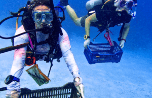 maldives-coral-gardening-reef-conservation-volunteering2