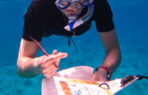 maldives-coral-gardening-reef-conservation-volunteering4