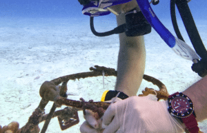 maldives-coral-gardening-reef-conservation-volunteering6