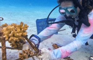 maldives-coral-gardening-reef-conservation-volunteering7
