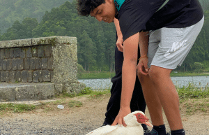 azores-social-impact-eco-adventure-for-teenagers-11