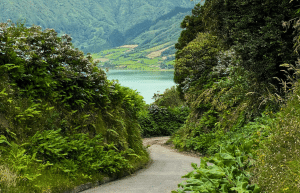 azores-social-impact-eco-adventure-for-teenagers-9