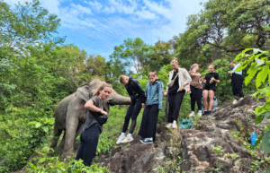 koh-samui-elephant-care-volunteering-12