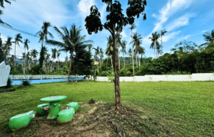 koh-samui-elephant-care-volunteering-32