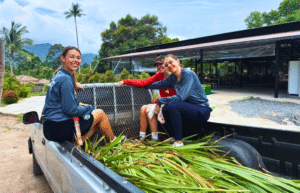 koh-samui-elephant-care-volunteering-44