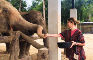 koh-samui-elephant-care-volunteering-46