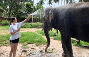 koh-samui-elephant-care-volunteering-9