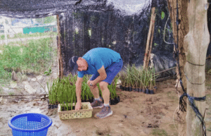 thailand-teaching-&-community-volunteering-for-older-adults-1