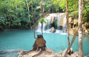 thailand-teaching-&-community-volunteering-for-older-adults-28