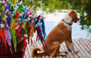 thailand-teaching-&-community-volunteering-for-older-adults-30