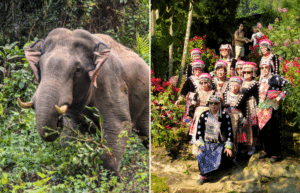 thailand-teaching-&-community-volunteering-for-older-adults-32