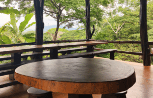 costa-rica-family-friendly-sea-turtle-&-nature-conservation-12