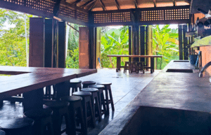 costa-rica-family-friendly-sea-turtle-&-nature-conservation-16