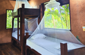 costa-rica-family-friendly-sea-turtle-&-nature-conservation-17