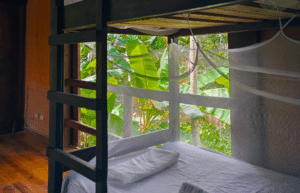 costa-rica-family-friendly-sea-turtle-&-nature-conservation-18