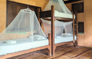 costa-rica-family-friendly-sea-turtle-&-nature-conservation-19