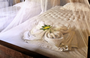 costa-rica-family-friendly-sea-turtle-&-nature-conservation-20