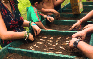 costa-rica-family-friendly-sea-turtle-&-nature-conservation-22