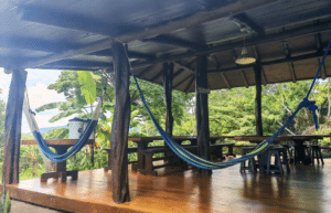 costa-rica-family-friendly-sea-turtle-&-nature-conservation-3