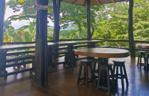 costa-rica-family-friendly-sea-turtle-&-nature-conservation-4