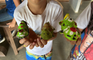 costa-rica-family-friendly-sea-turtle-&-nature-conservation-9