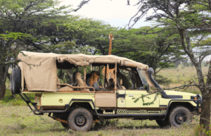 kenya-wildlife-conservation-giraffe-monitoring-21