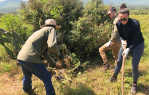 kenya-wildlife-conservation-giraffe-monitoring-8