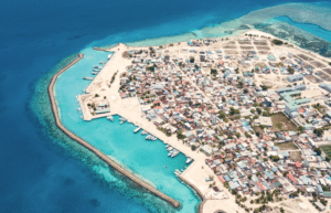 maldives-sea-turtle-&-marine-conservation-for-teenagers-17