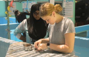 maldives-sea-turtle-&-marine-conservation-for-teenagers-3