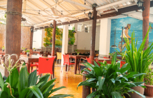 medical-internship-for-students-and-graduates-13