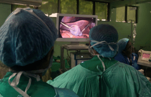 medical-internship-for-students-and-graduates-25