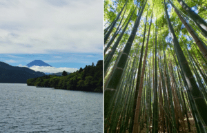 tokyo-to-osaka-13-day-cultural-discovery-tour-44