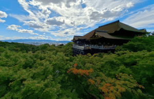 tokyo-to-osaka-13-day-cultural-discovery-tour-45