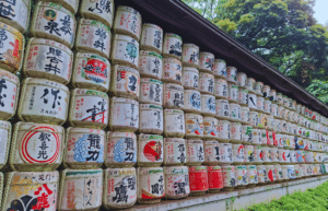 tokyo-to-osaka-13-day-cultural-discovery-tour-48