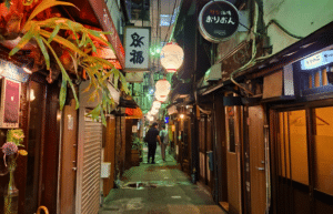 tokyo-to-osaka-13-day-cultural-discovery-tour-53