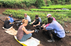 wildlife-conservation-giraffe-monitoring-16