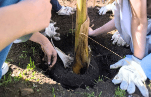 argentina-culture-community-service-eco-adventure-for -teenagers-22