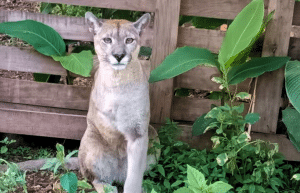 argentina-culture-community-service-eco-adventure-for -teenagers-28