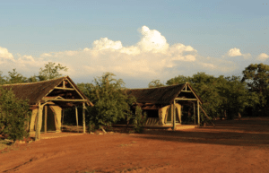 botswana-african-wildlife-conservation-for-mature-adults-20