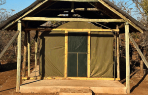 botswana-african-wildlife-conservation-for-mature-adults-21