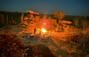 botswana-african-wildlife-conservation-for-mature-adults-26