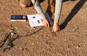 botswana-african-wildlife-conservation-for-mature-adults-9