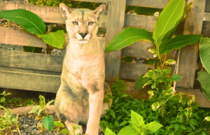 culture-community-service-eco-adventure-for -teenagers-12