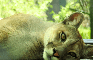 culture-community-service-eco-adventure-for -teenagers-25