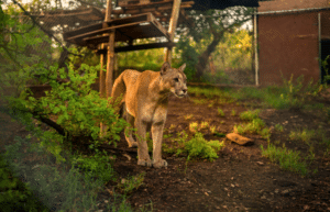 culture-community-service-eco-adventure-for -teenagers-27