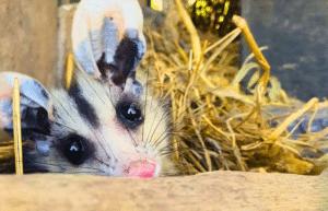 culture-community-service-eco-adventure-for -teenagers-29