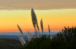 culture-community-service-eco-adventure-for -teenagers-7