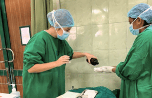 nursing-internship-for-students-and-graduates-11