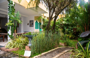 nursing-internship-for-students-and-graduates-4